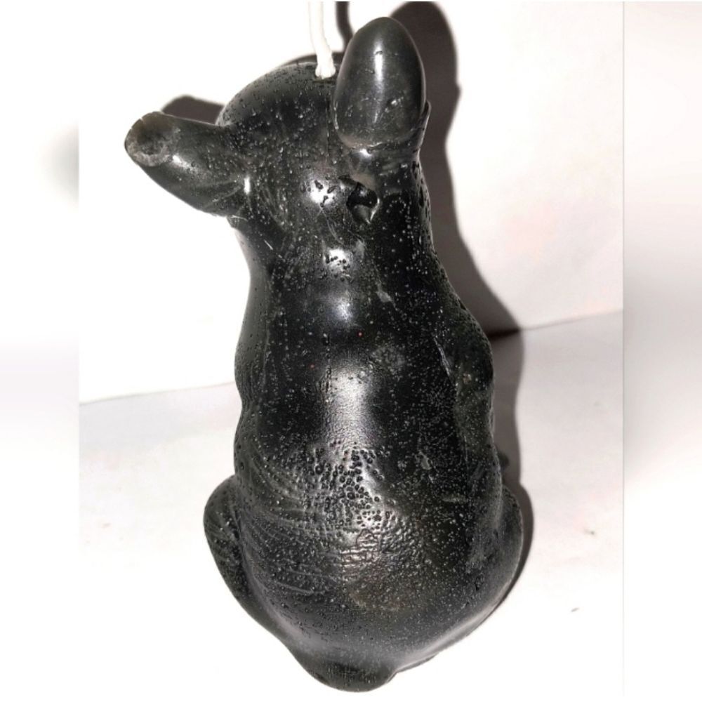 Hand crafted limited edition bull dog candle - Picture 2 of 4
